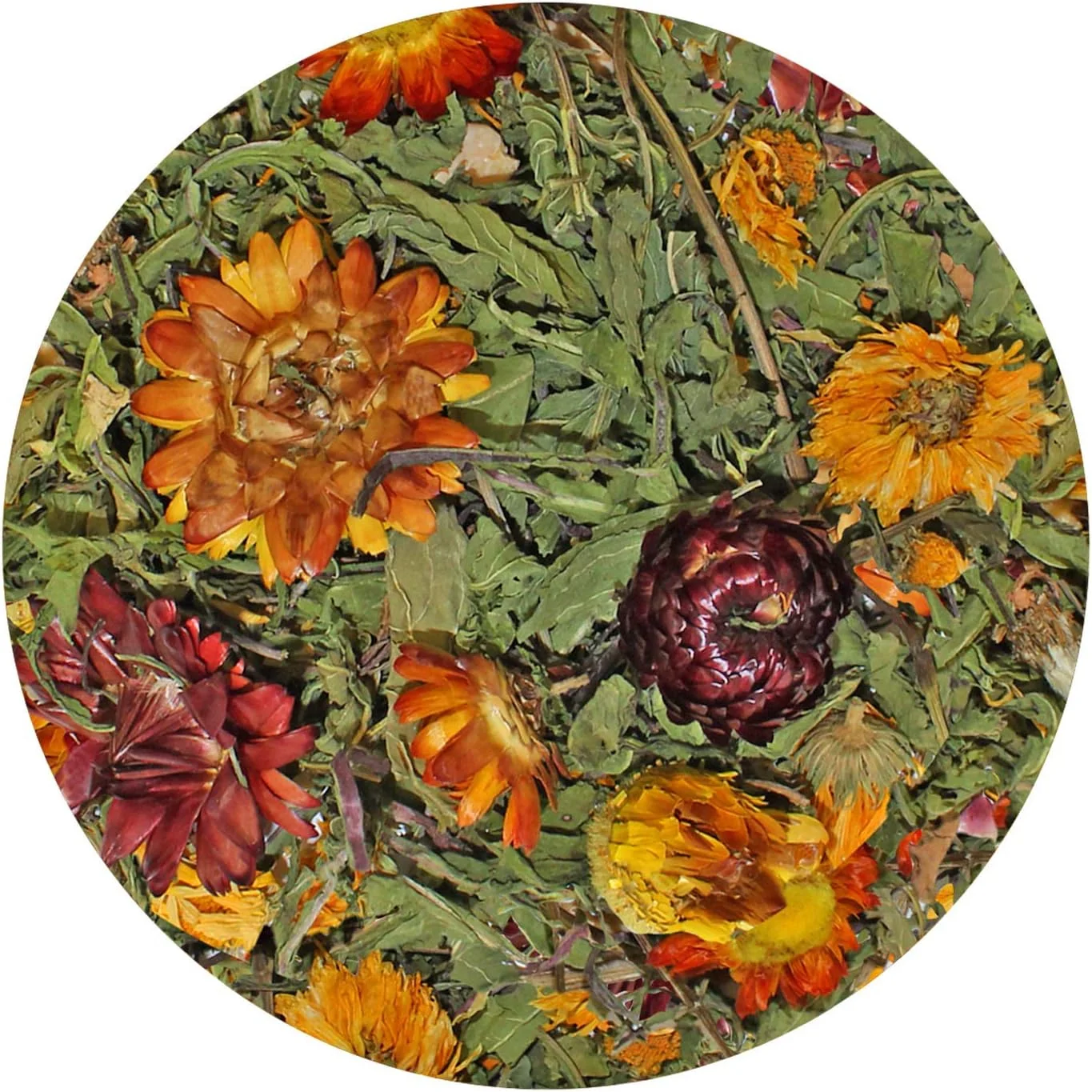 خوراک گل قاصدک لذیذ Pasture Plus+ - خوراکی طبیعی و پرفیبر برای سنجاب ها، خوکچه هندی، خرگوش، چینچیلا، سگ دشتی، دگو، همستر، جربیل و سایر حیوانات خانگی کوچک