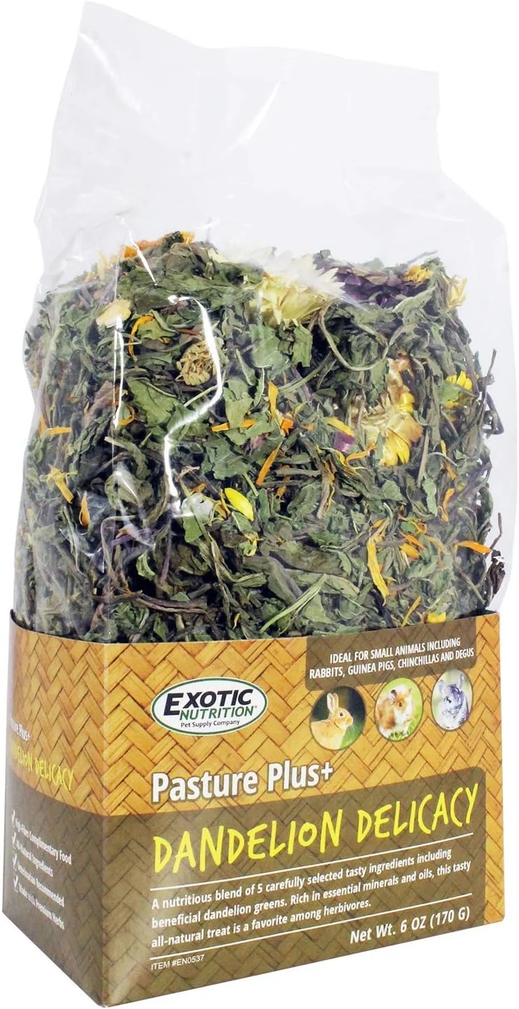 خوراک گل قاصدک لذیذ Pasture Plus+ - خوراکی طبیعی و پرفیبر برای سنجاب ها، خوکچه هندی، خرگوش، چینچیلا، سگ دشتی، دگو، همستر، جربیل و سایر حیوانات خانگی کوچک