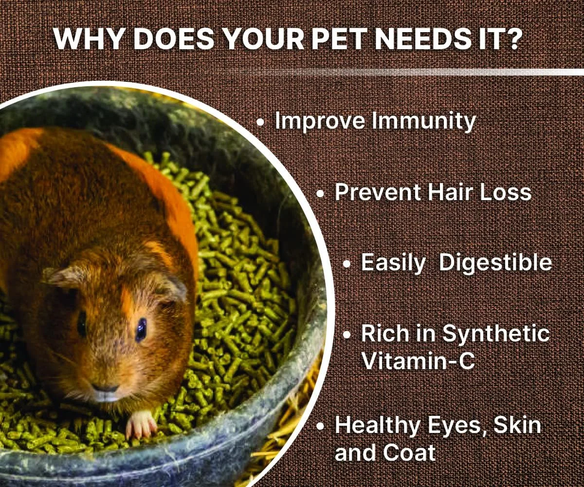 غذای پلت خوکچه هندی بولتز مناسب تمام مراحل زندگی، طعم سبزیجات، انتخاب متخصص تغذیه (دارای گواهینامه ISO 9001)، متوسط، 1200 گرم