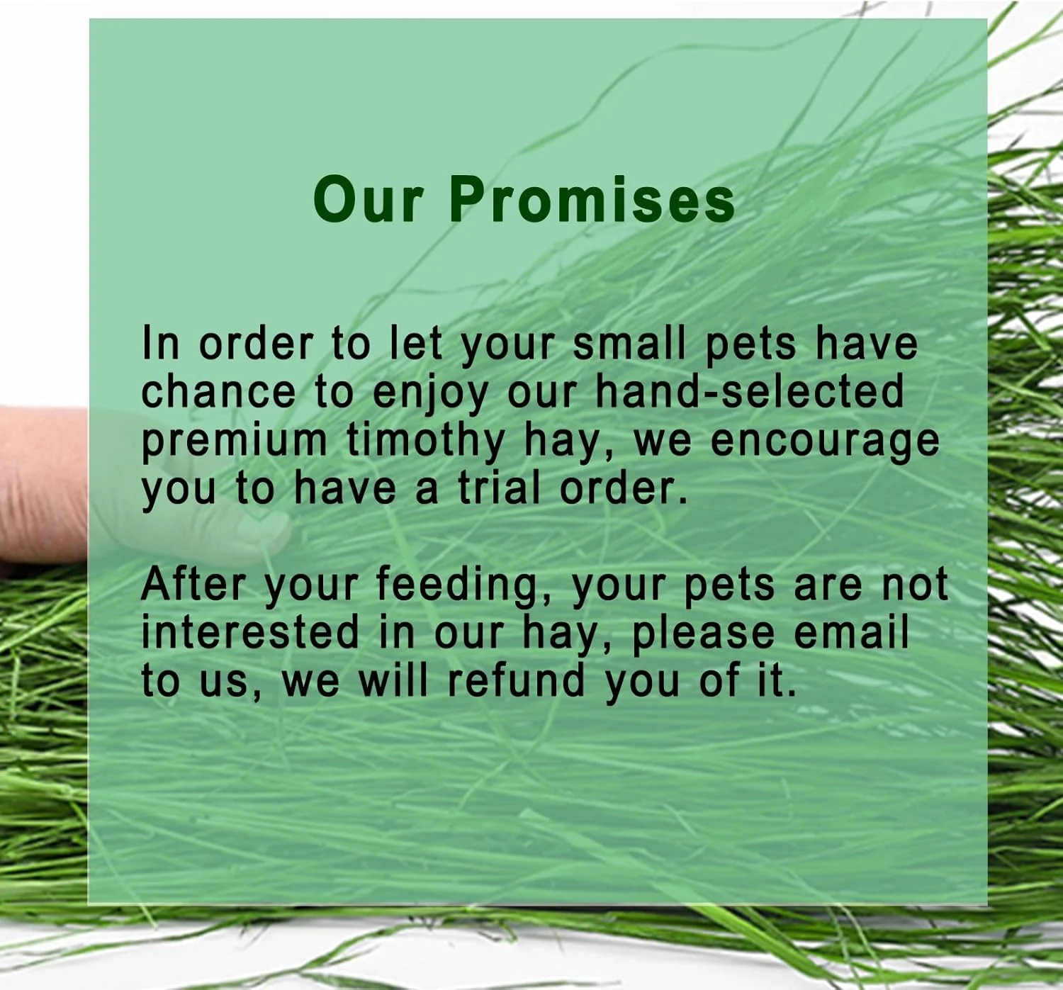 یونجه تیموتی سبز و بدون گرد و غبار برای خرگوش، لاک پشت، خوکچه هندی و چینچیلا