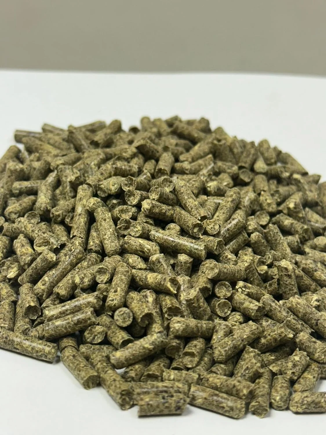 پلت های مغذی ممتاز - پلت های فیبر بالا برای خرگوش ها، خوکچه هندی، همستر، جربیل، چینچیلا، موش صحرایی، موش و سایر حیوانات خانگی کوچک، توصیه شده توسط دامپزشکان - 1 کیلوگرم