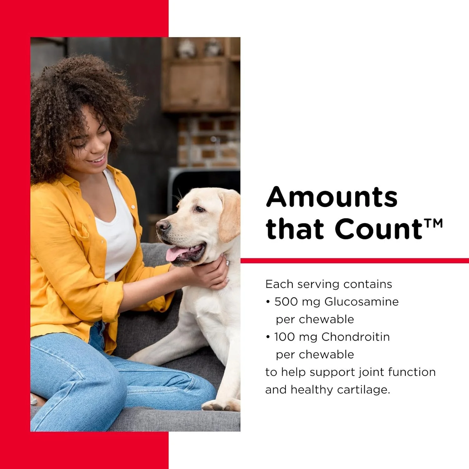 قرص های جویدنی نوتری-وت مخصوص مفاصل با قدرت معمولی برای سگ ها