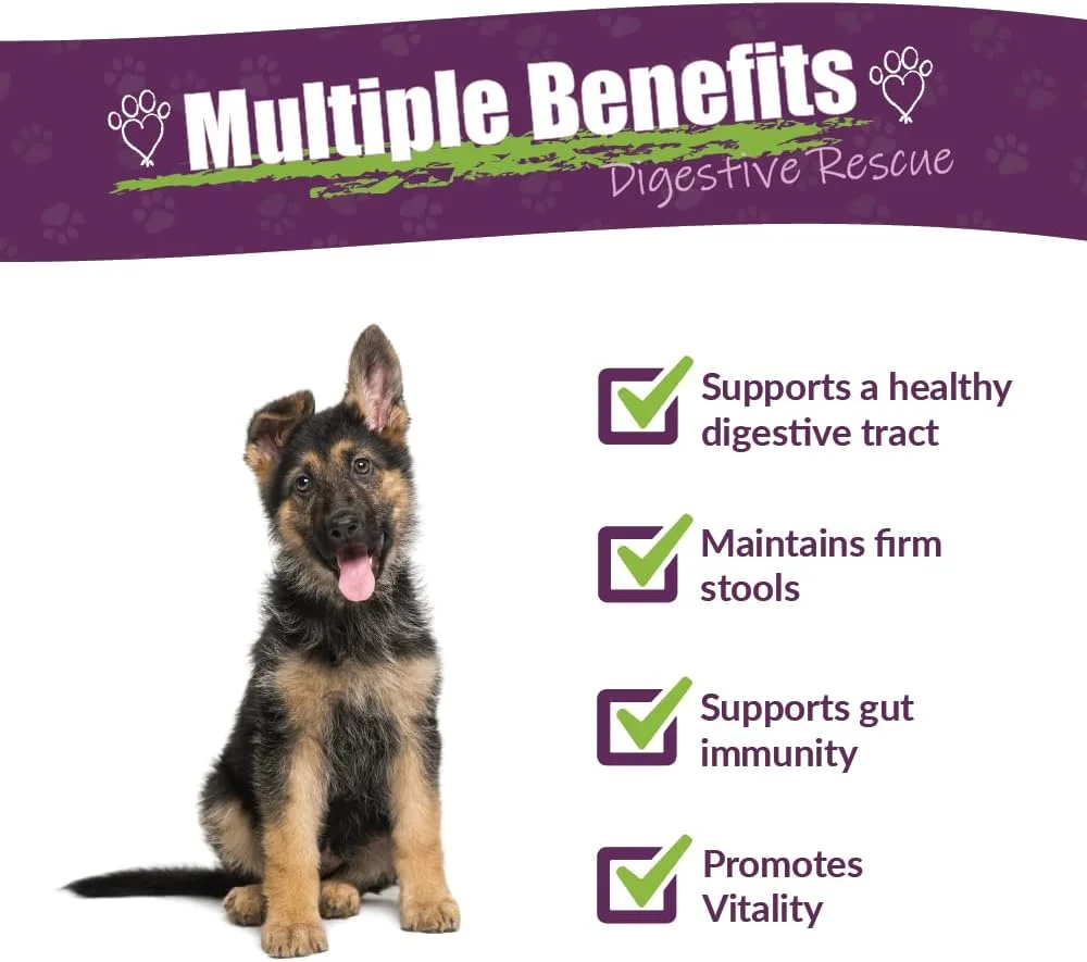 مکمل گیاهی Amber NaturalZ Paxaid برای بهبود هضم سگ ها و توله سگ ها | مکمل گیاهی سگ سانان برای پشتیبانی از ناراحتی های گاه به گاه گوارشی | بطری شیشه ای 4 اونس مایع | ساخت ایالات متحده آمریکا