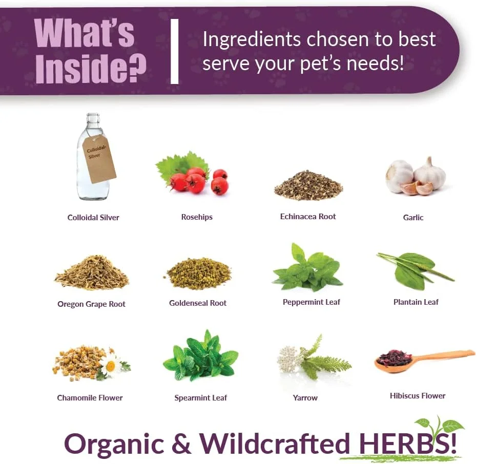 مکمل گیاهی Amber NaturalZ Paxaid برای بهبود هضم سگ ها و توله سگ ها | مکمل گیاهی سگ سانان برای پشتیبانی از ناراحتی های گاه به گاه گوارشی | بطری شیشه ای 4 اونس مایع | ساخت ایالات متحده آمریکا