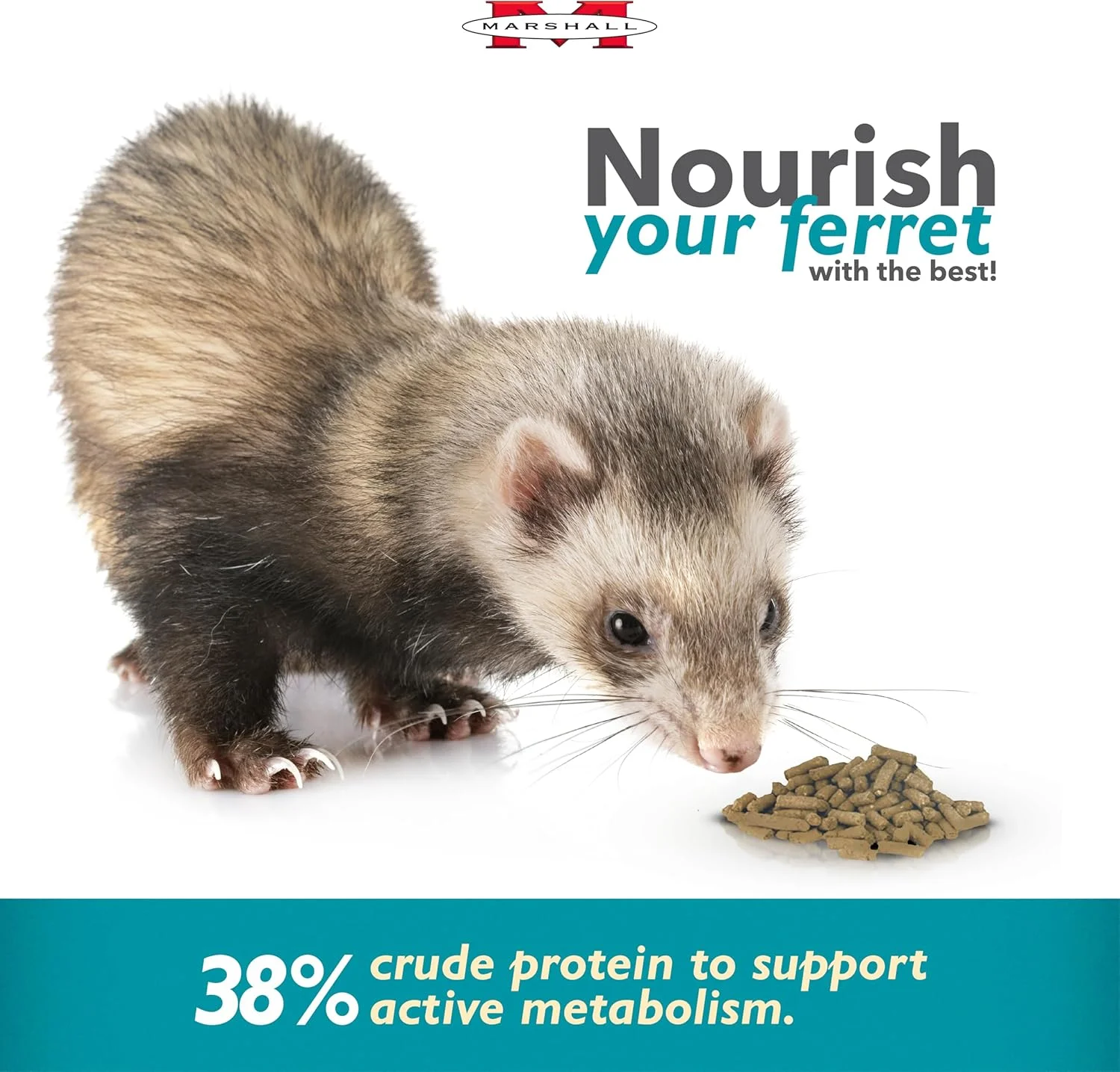 محصولات حیوانات خانگی مارشال (بسته 2 عددی) فرمول مرغ منتخب غذای ممتاز راسو