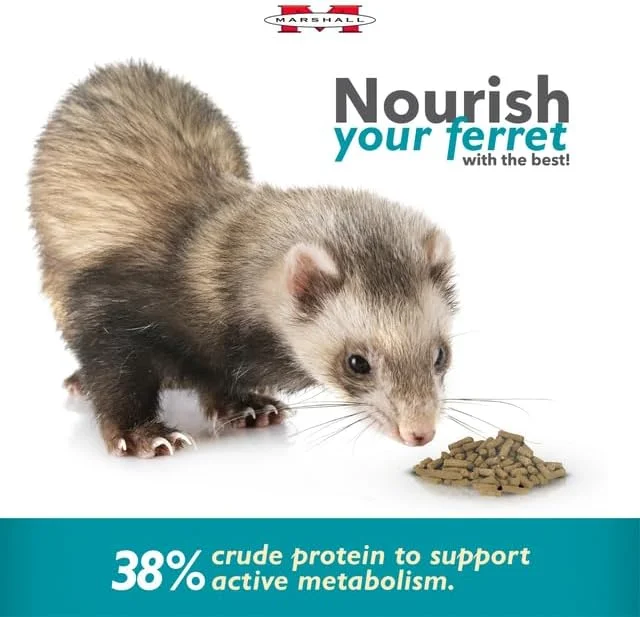 غذای مخصوص راسو مارشال با طعم مرغ