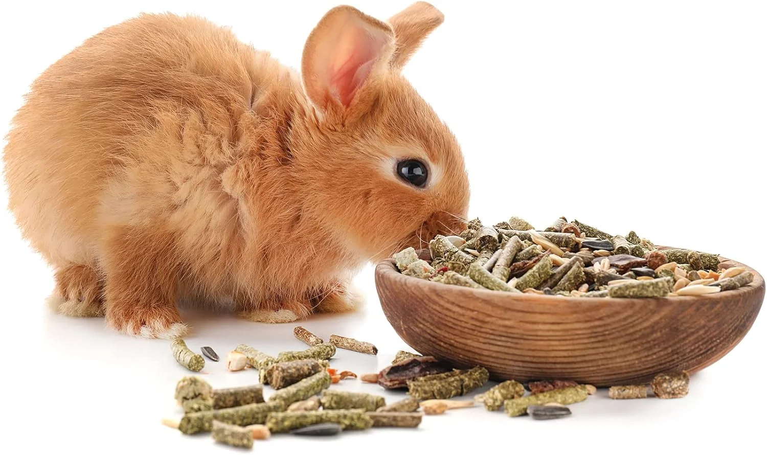 خوراک خرگوش لاگاریتم آگروبت | مناسب تمام مراحل زندگی | غذای ممتاز خرگوش بالغ و پلت کوچک (500 گرم)، 1 عدد