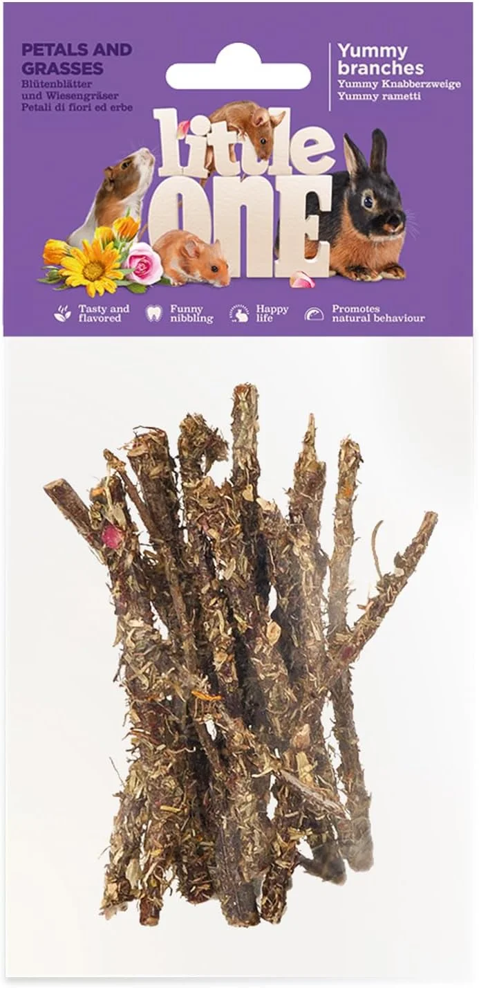 اسنک شاخه های خوشمزه لیتل وان با گلبرگ ها و علف ها 35 گرم