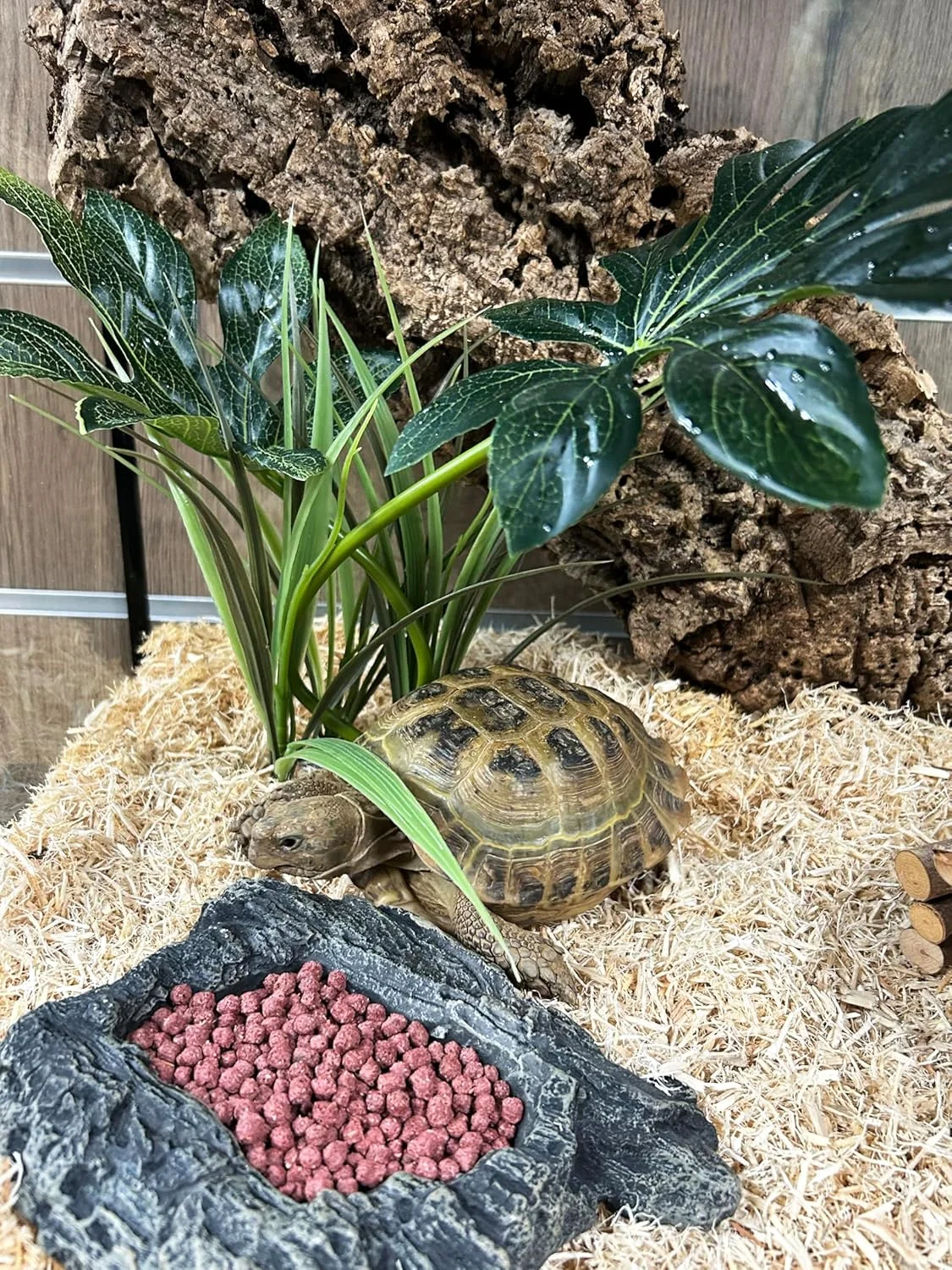 غذای کامل لاک پشت کومودو با طعم قاصدک (340 گرم)