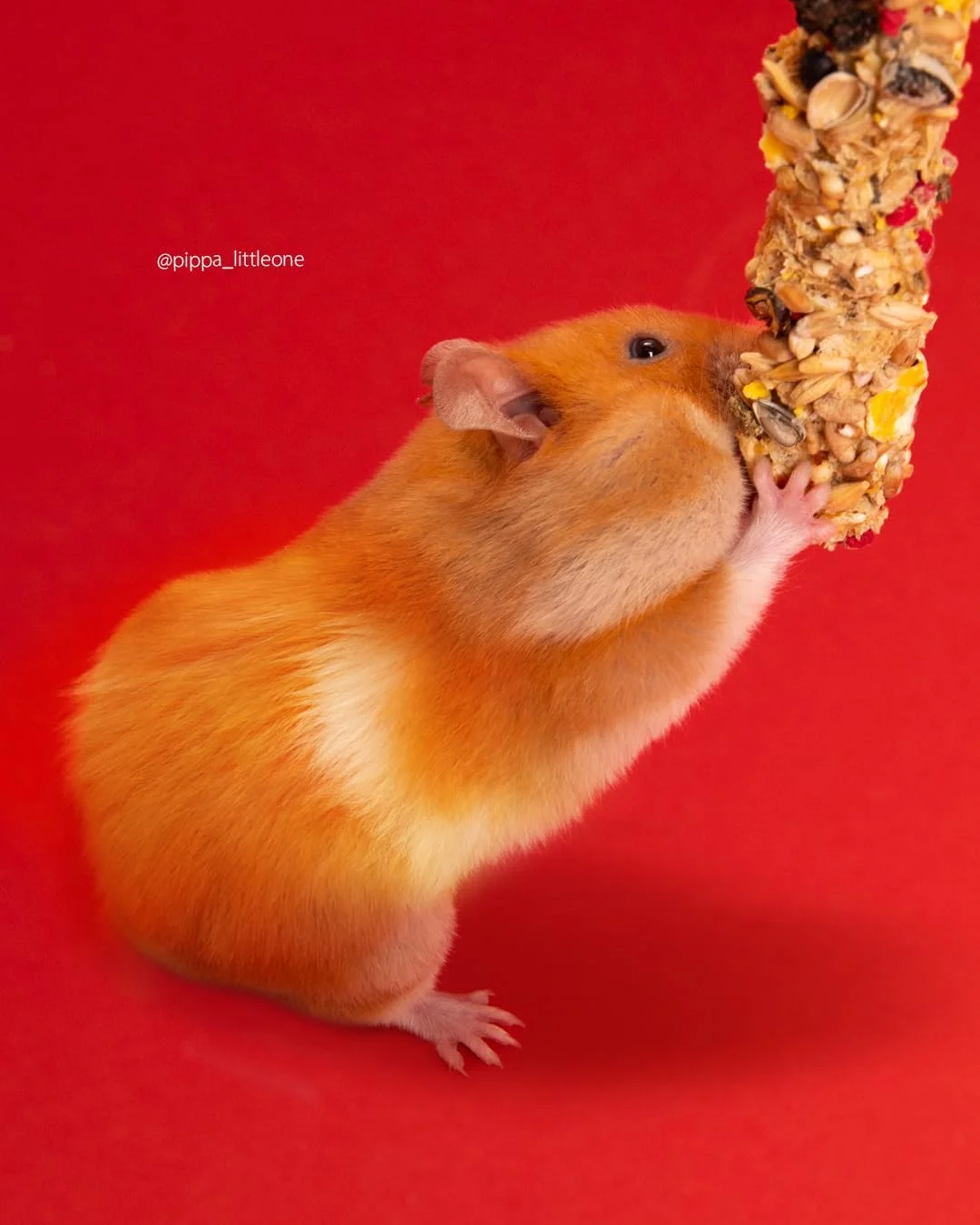 تشویقی میله ای برای همستر، موش صحرایی، موش و جربیل با طعم میوه و آجیل 2x60 گرم