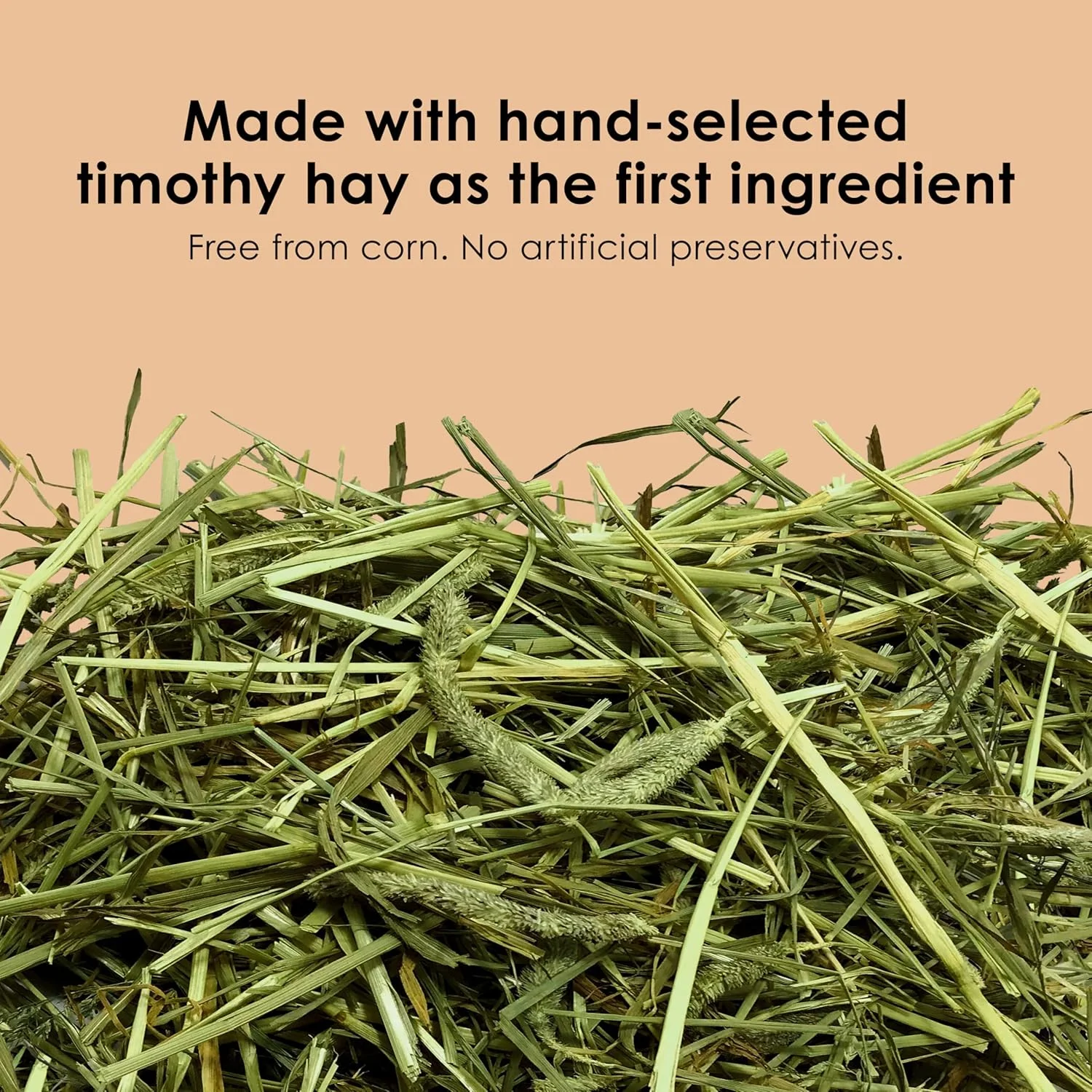 غذای کامل خوکچه هندی کیتی با طعم یونجه تیموتی، 4.3 کیلوگرم