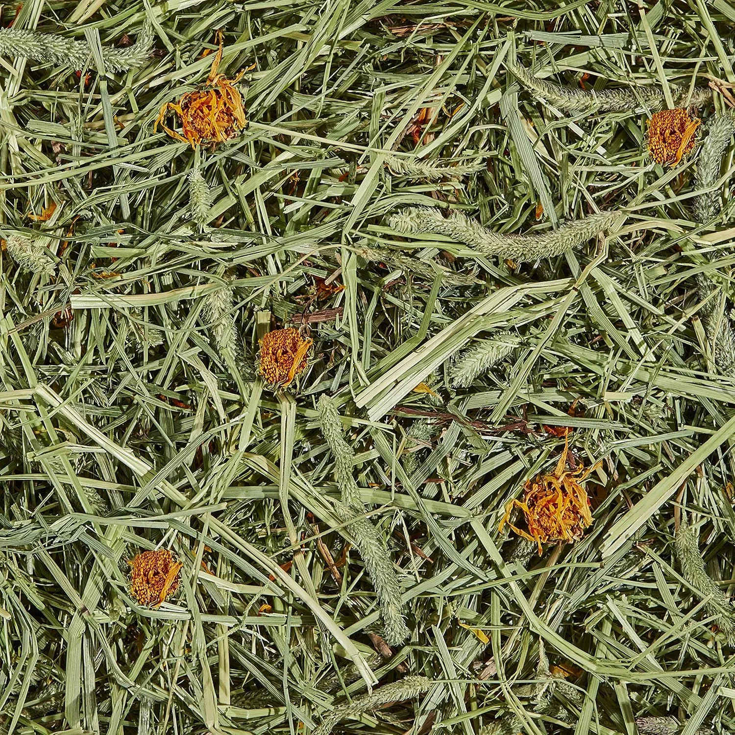 یونجه تیموتی ممتاز کیتی به همراه گل همیشه بهار 680 گرم