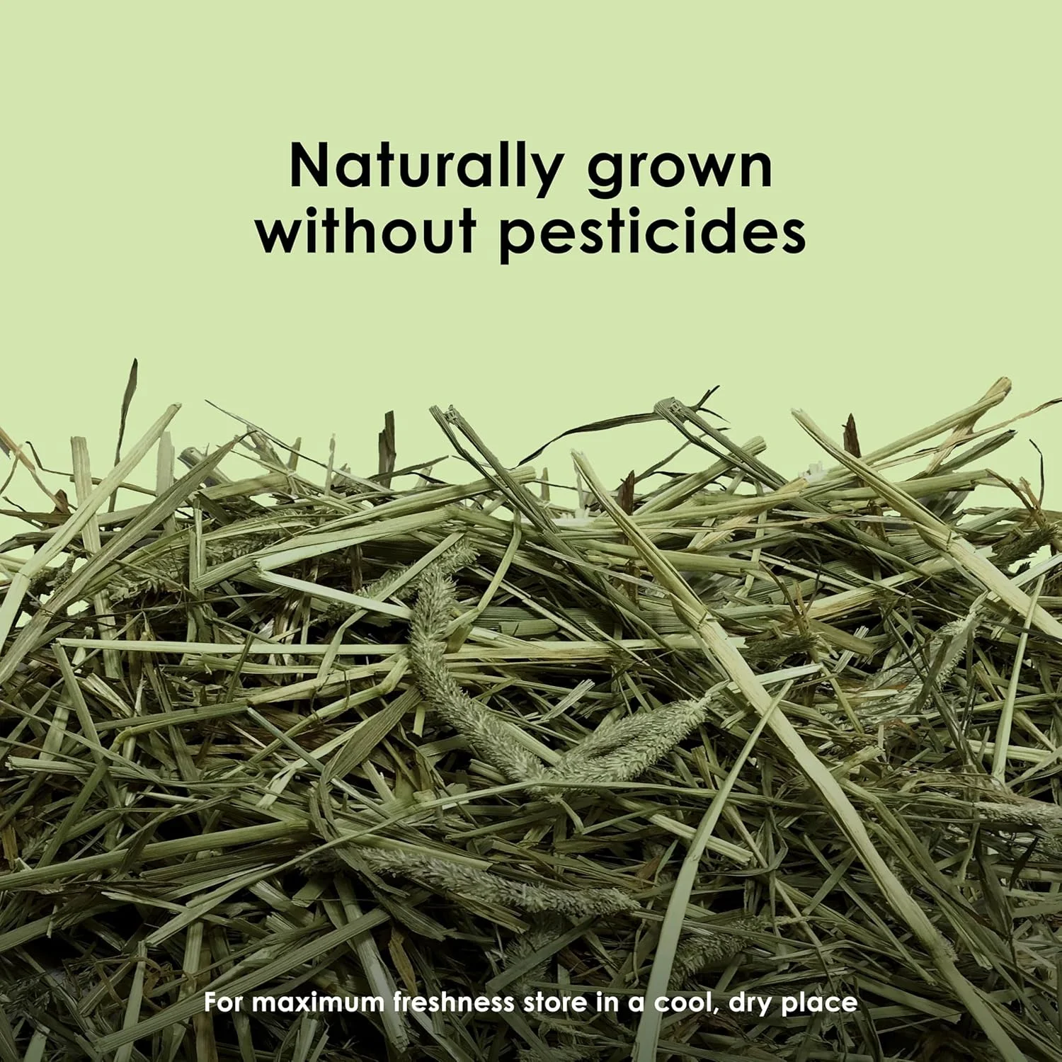 یونجه تیموتی کیتی 5.4 کیلوگرمی