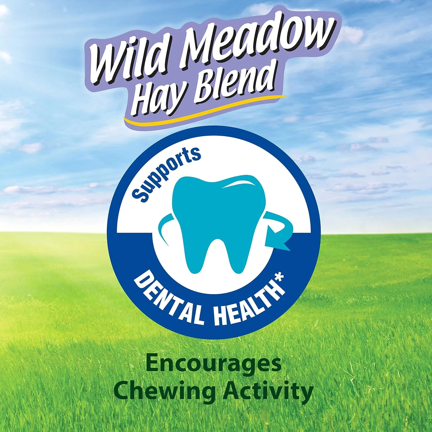 یونجه تیموتی طبیعی کیتی، مخلوط یونجه مرغزار وحشی برای خوکچه هندی، خرگوش و سایر حیوانات کوچک، 680 گرم