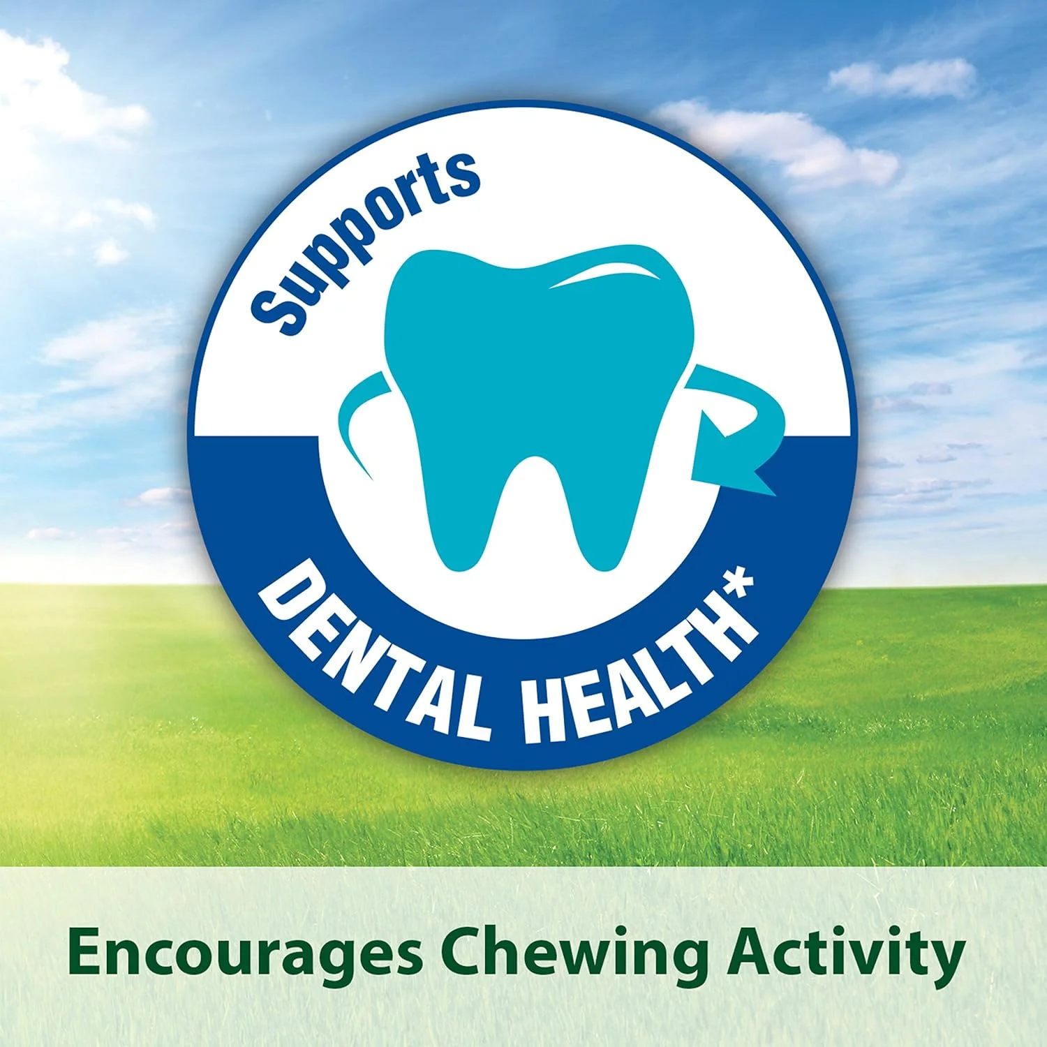 غذای حیوانات کوچک کیتی فورتی دایت پرو هلث برای چینچیلا