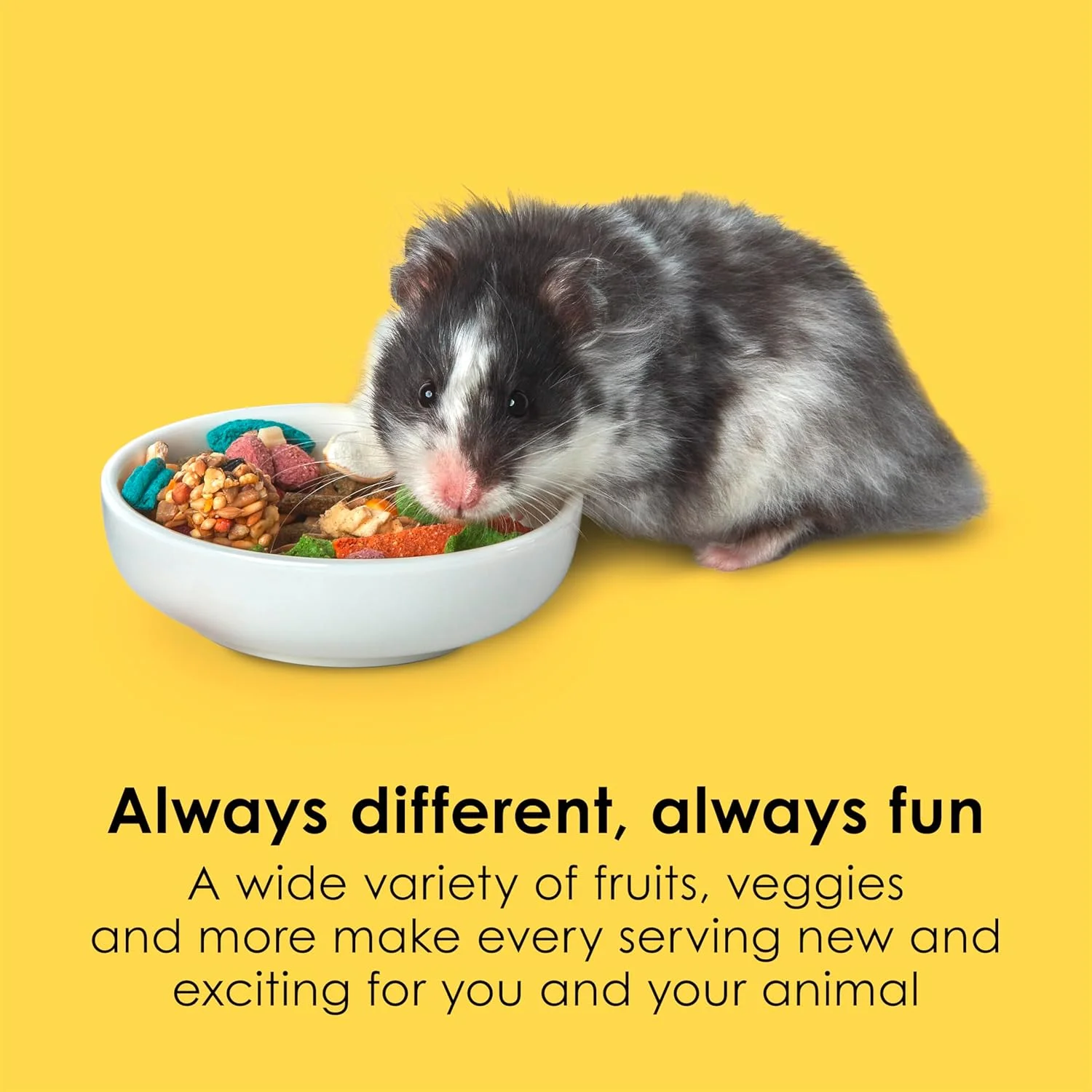 غذای همستر و جربیل کیتی فیستا، کیسه 4.5 پوندی