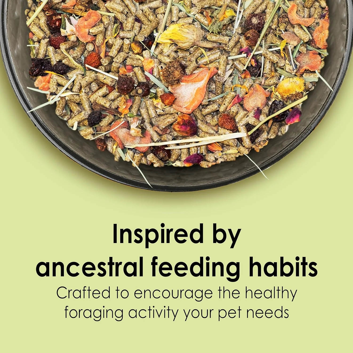 غذای طبیعی خوکچه هندی Kaytee Food from The Wild، وزن ۴ پوند