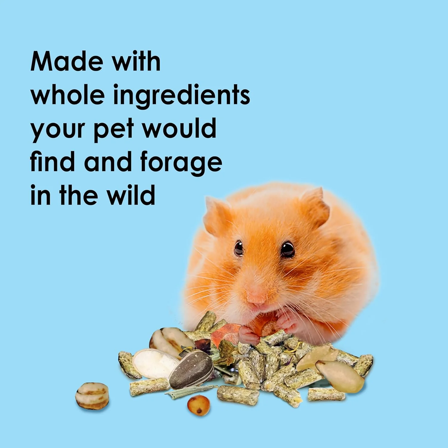 غذای طبیعی حیوانات خانگی Kaytee Food from The Wild برای همستر، 900 گرم