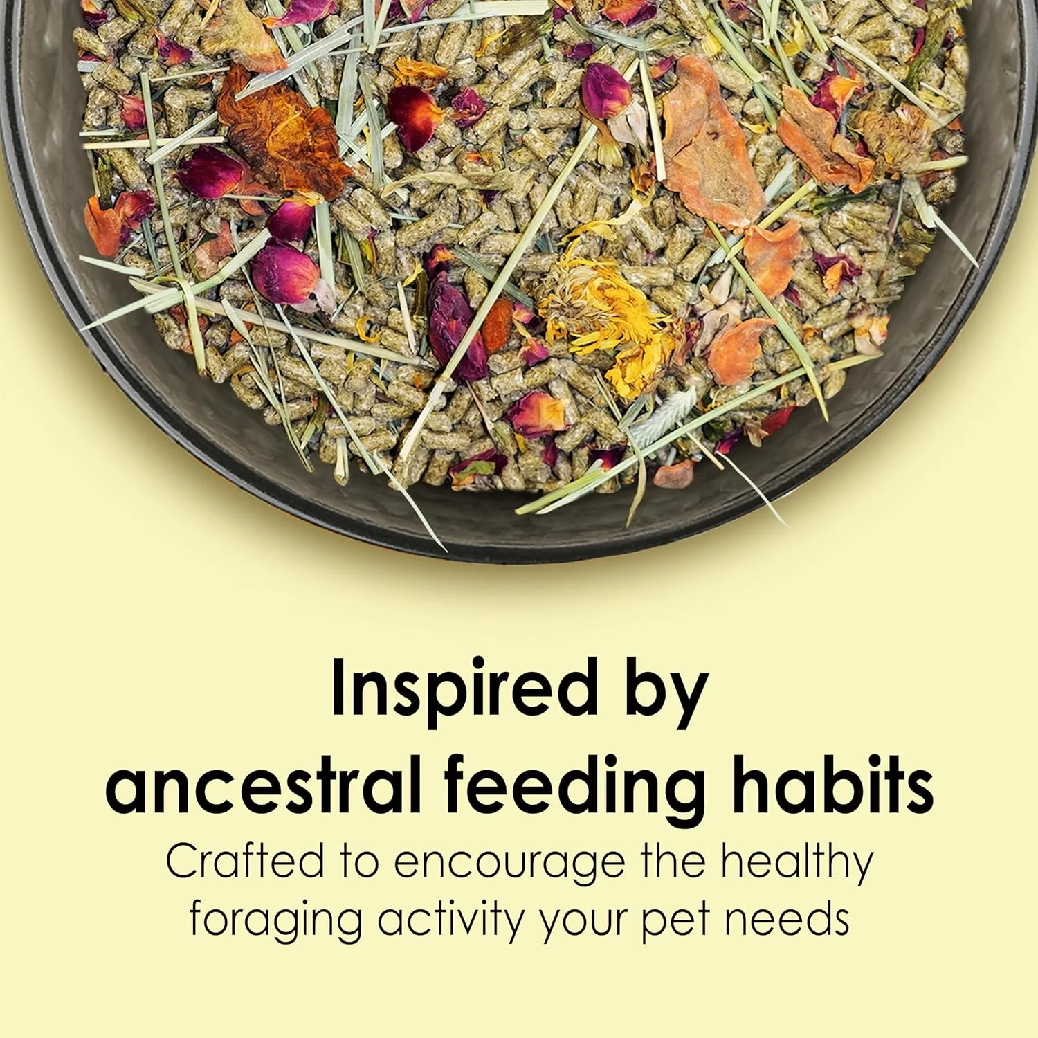 غذای طبیعی خرگوش خانگی کیتی فود فرام د وایلد، ۴ پوند