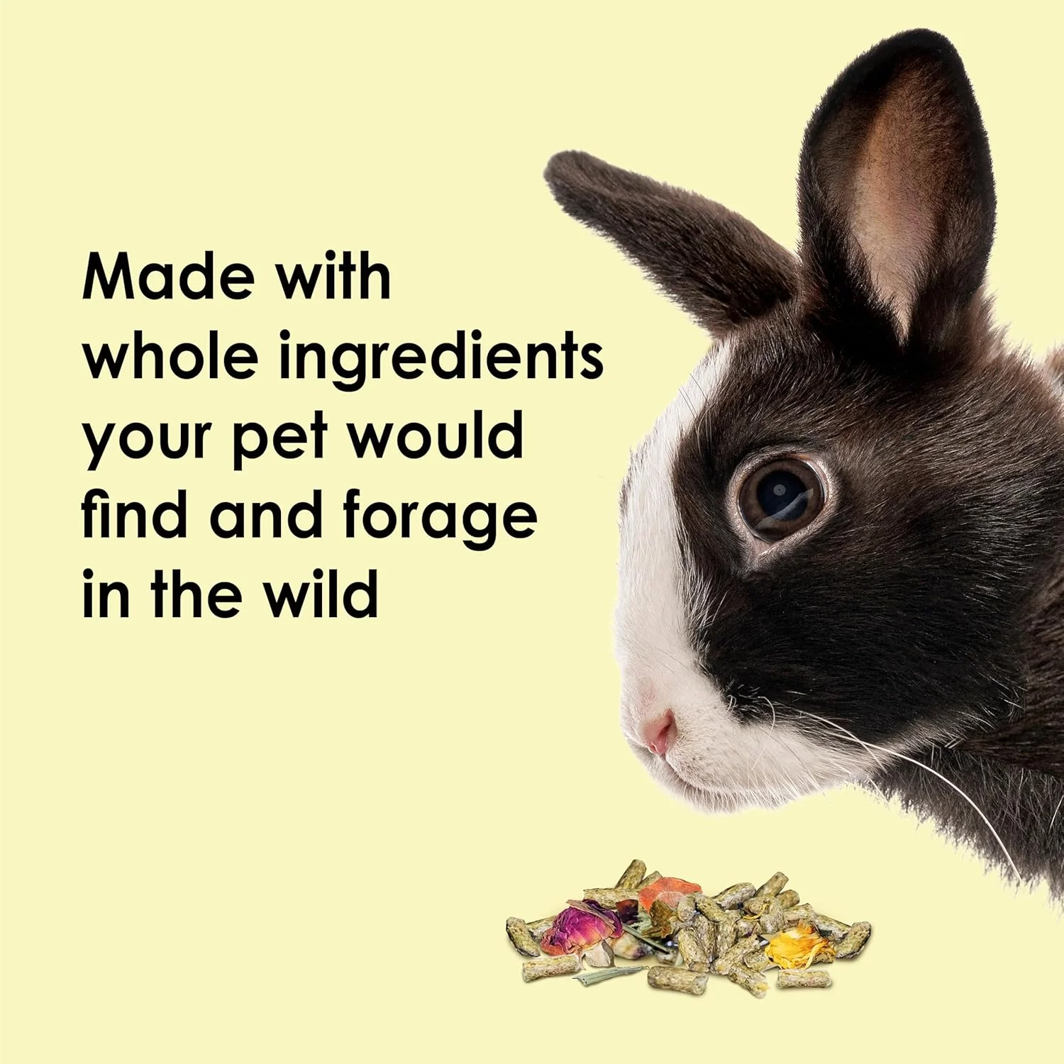 غذای طبیعی خرگوش خانگی کیتی فود فرام د وایلد، ۴ پوند