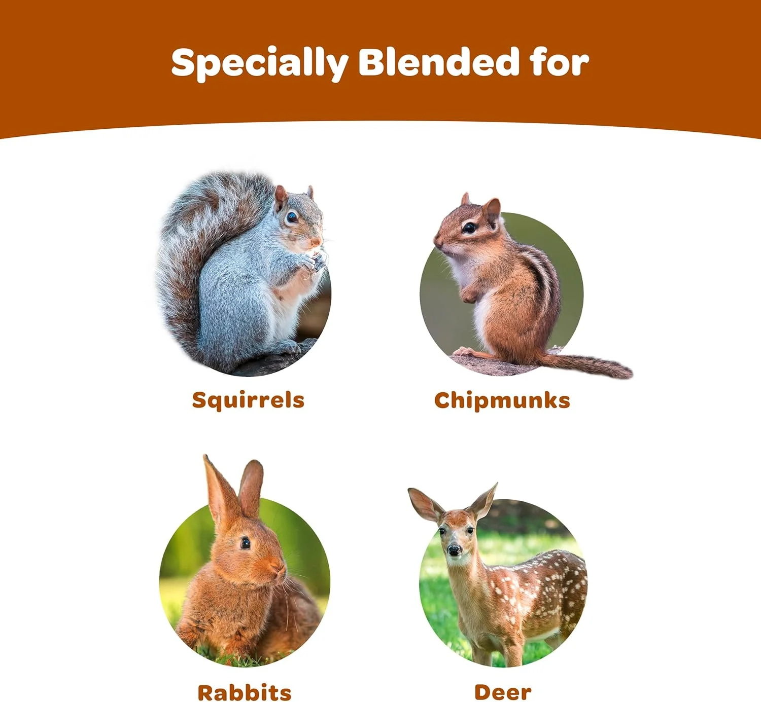 کیک دانه ای Kaytee Corn A Plenty، ۱.۱ کیلوگرم