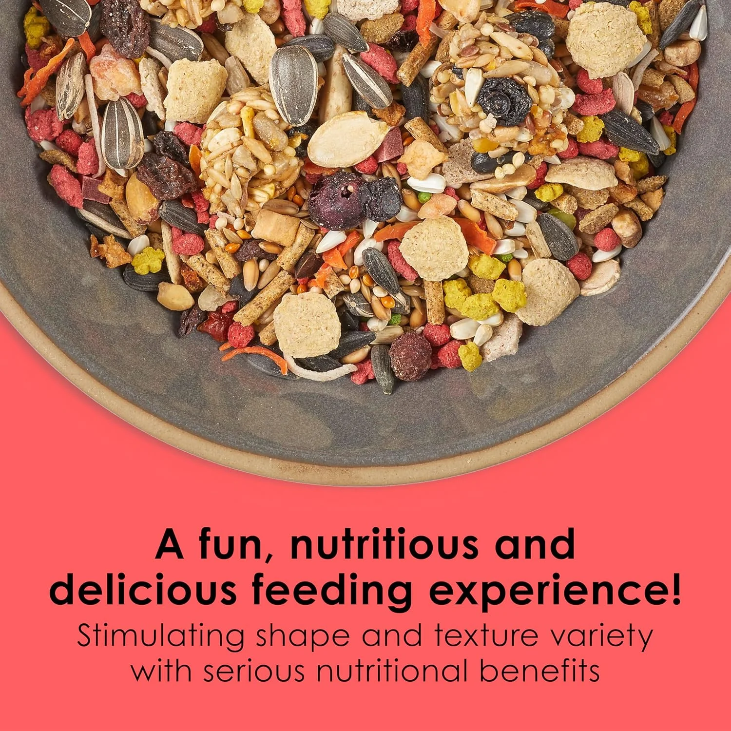 غذای طوطی کاکتیل کیتی فیستا، 4.5 پوند