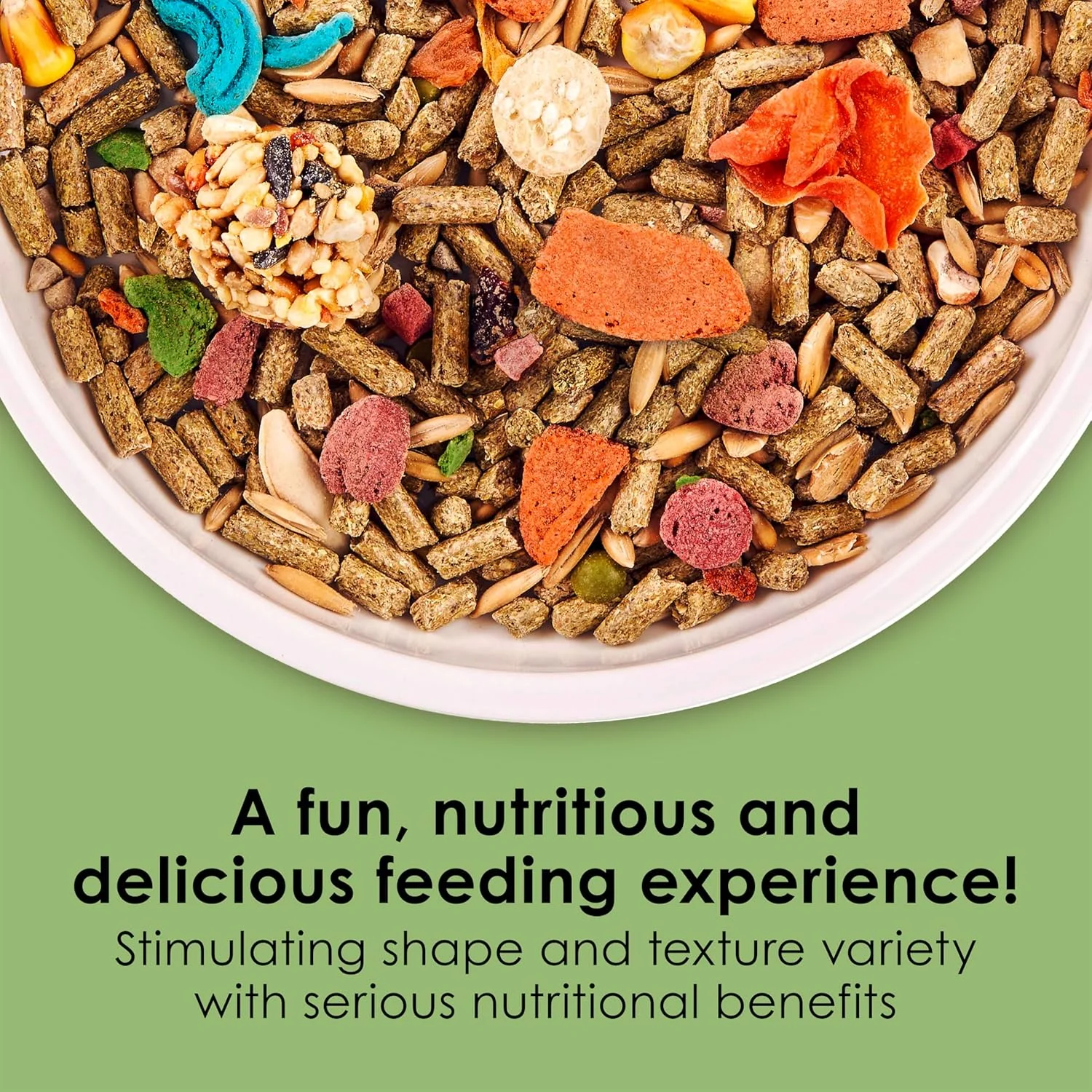 غذای کیتی فیستا برای خوکچه هندی، 4.5 پوند