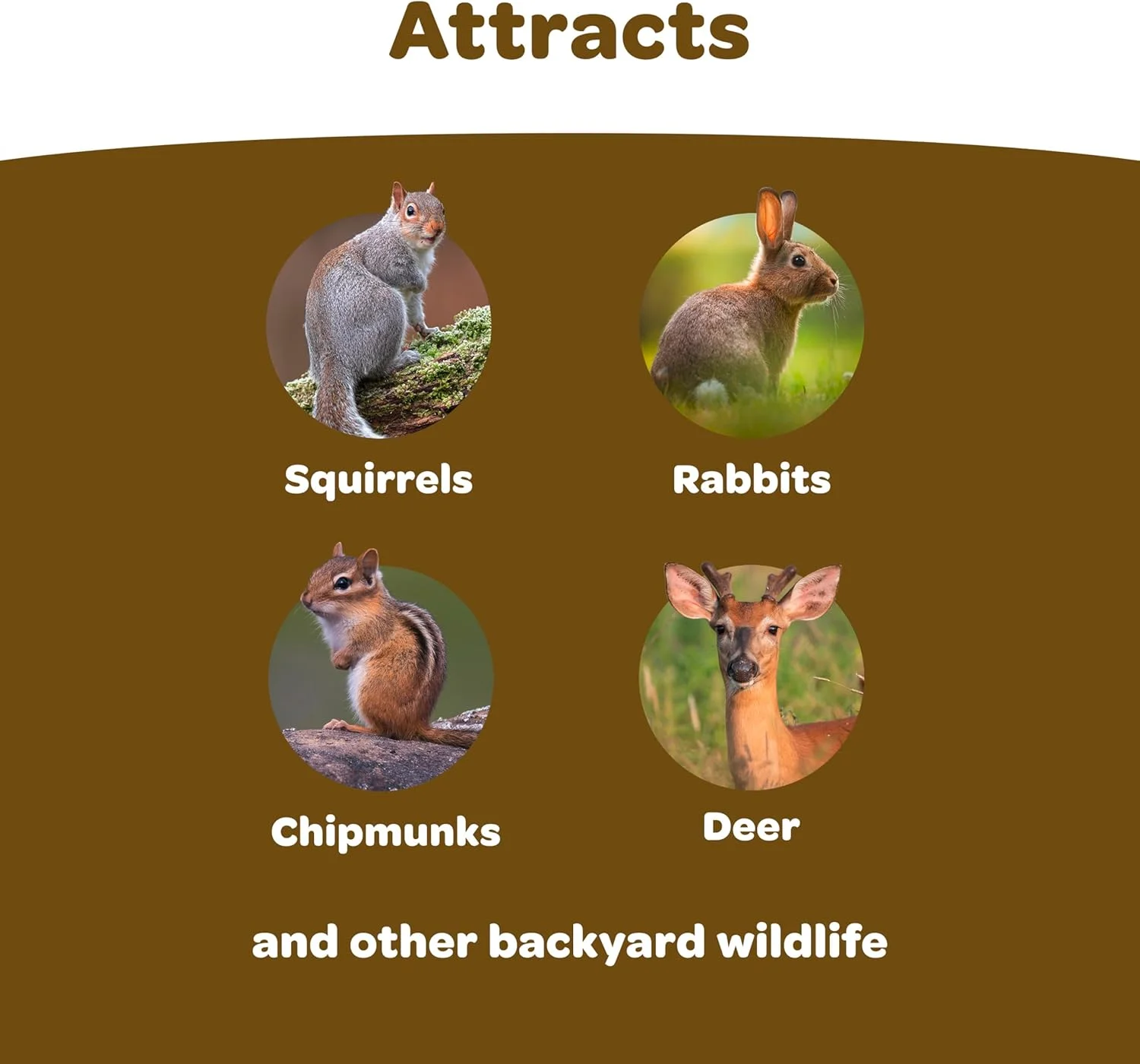 مخلوط غذای حیات وحش کیتی برای سنجاب ها، سنجاب های راه راه، خرگوش ها و سایر حیوانات حیات وحش، 5 پوند