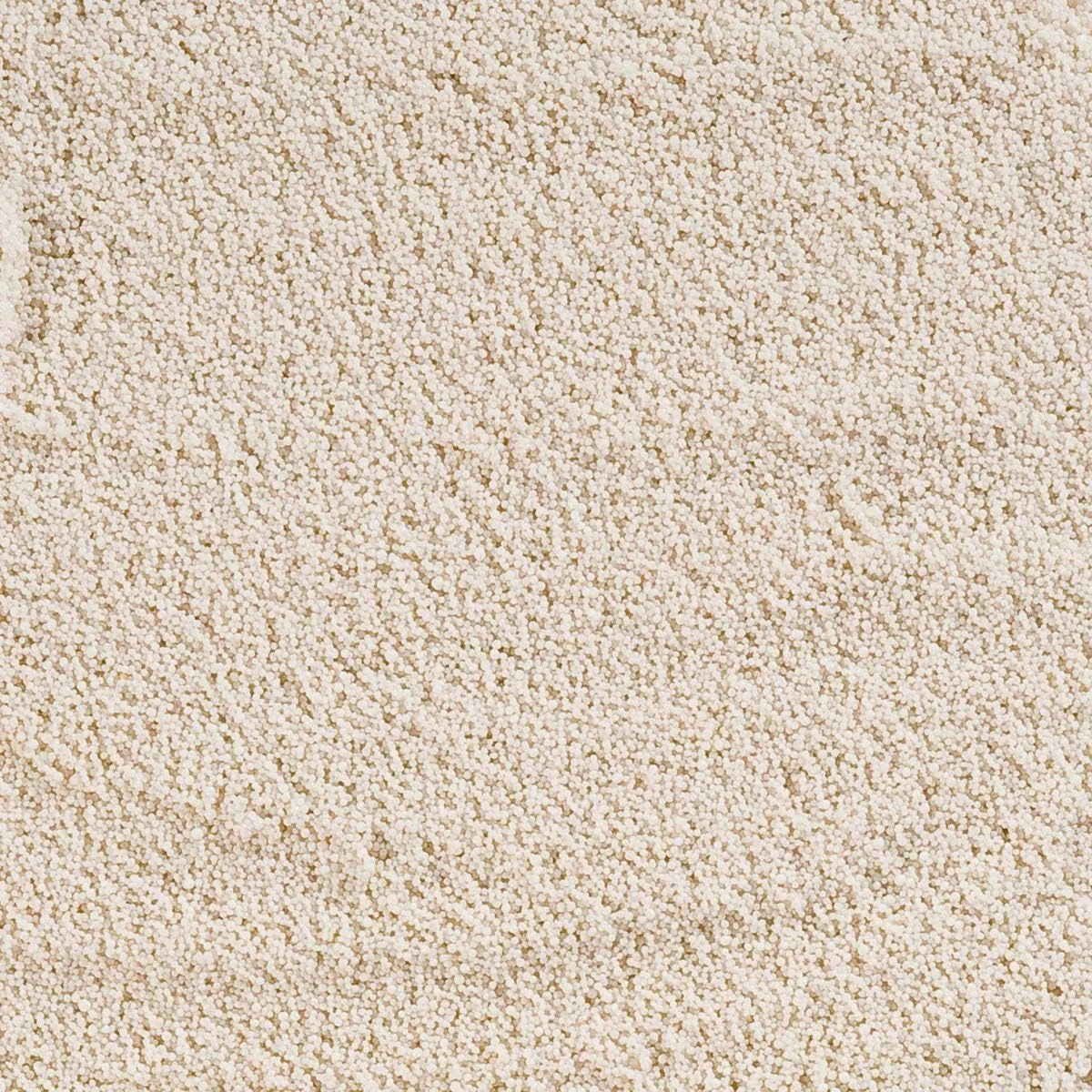 بستر تراریوم کارلی خاویاری، ۴ کیلوگرم، سفید