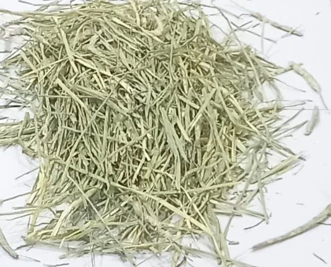 یونجه تیموتی جیمی پت برای خرگوش، خوکچه هندی و همستر، سرشار از فیبر (200 گرم)، مناسب تمام مراحل زندگی