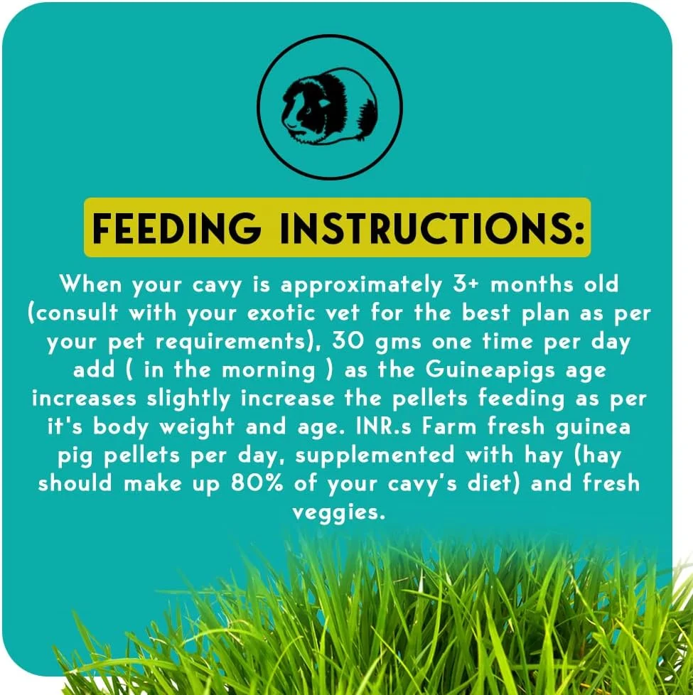 غذای پلت ممتاز و تازه مزرعه INR برای خوکچه هندی || رژیم غذایی پیشرفته برای خوکچه هندی 1 کیلوگرم