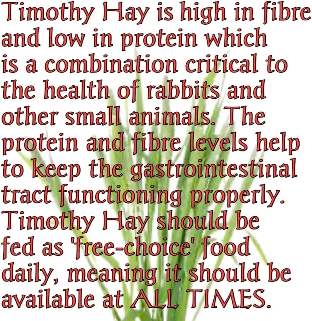 یونجه ممتاز مخلوط با علف تیموتی و بادام زمینی برای خرگوش، خوکچه هندی و همستر (3 کیلوگرم)