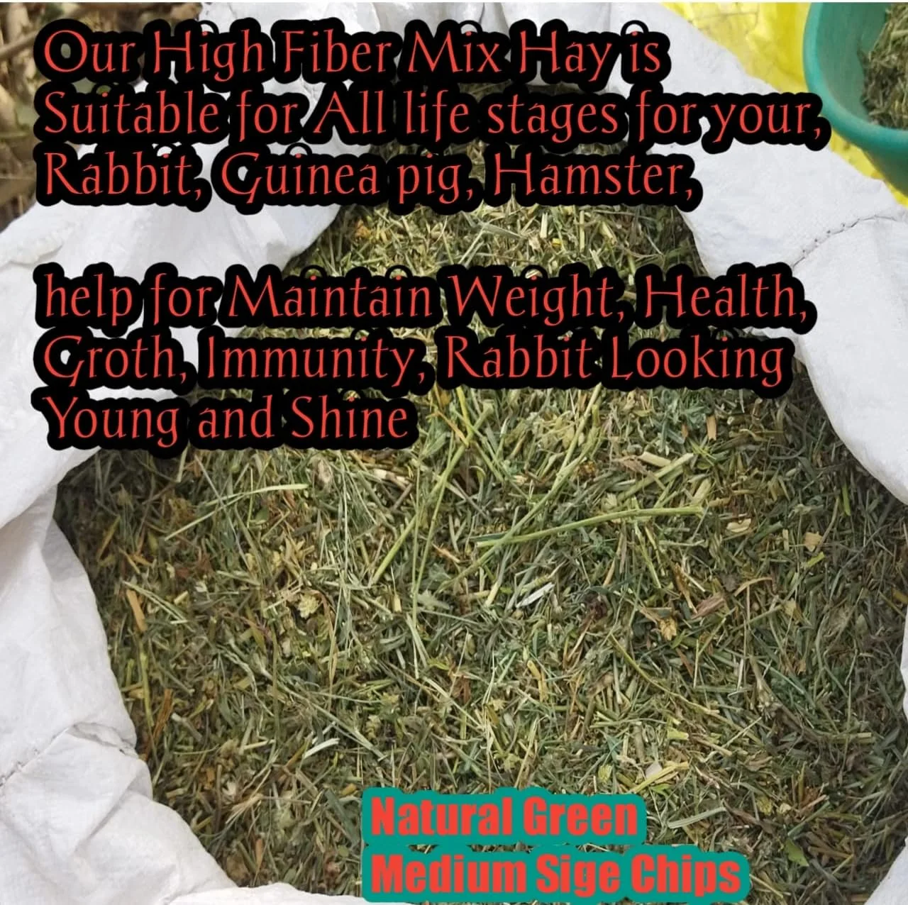 یونجه ممتاز / علف تیموتی / مخلوط یونجه برای خرگوش / خوکچه هندی / همستر. 1 کیلوگرم، مناسب برای تمام مراحل زندگی