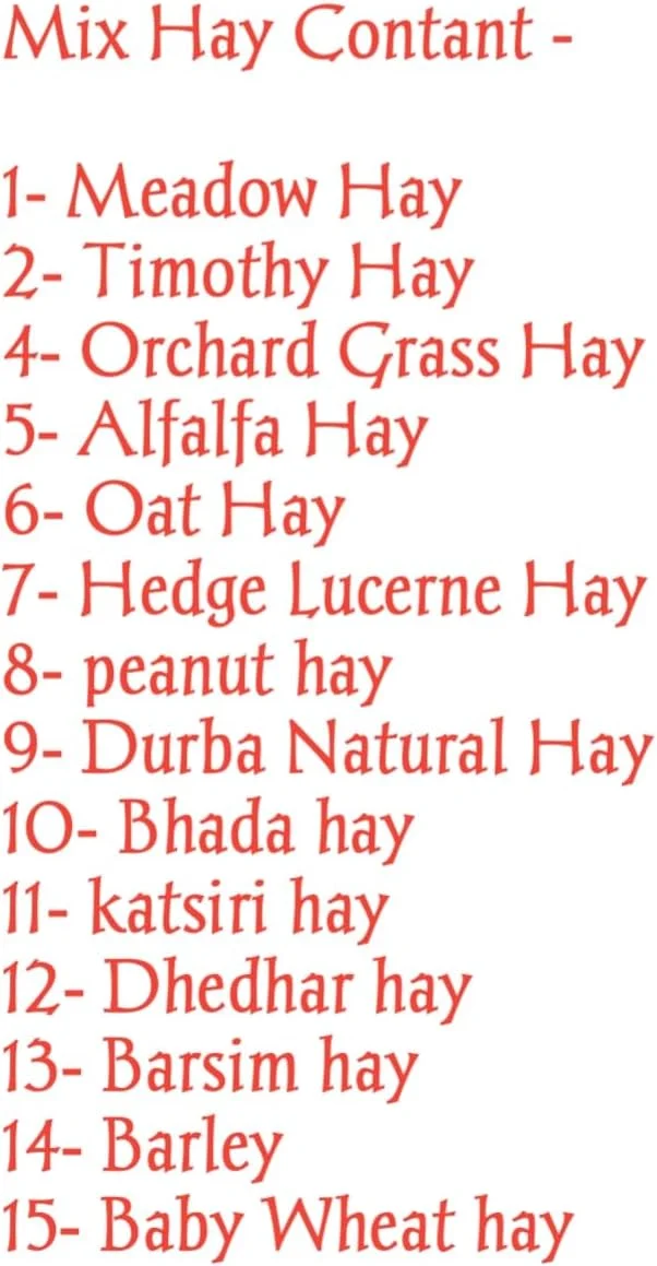 یونجه ممتاز / علف تیموتی / مخلوط یونجه برای خرگوش / خوکچه هندی / همستر. 1 کیلوگرم، مناسب برای تمام مراحل زندگی