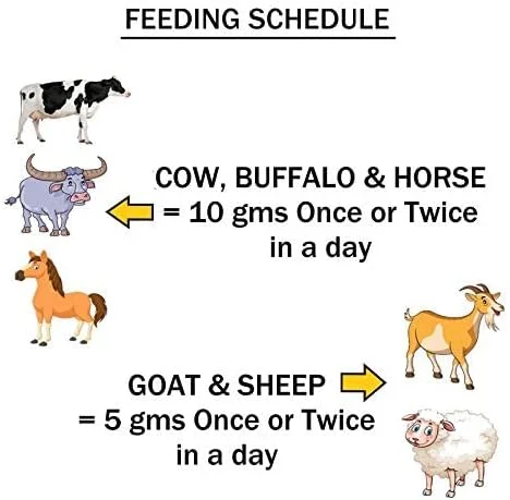 هیلوزیل - پشتیبانی تغذیه ای گیاهی برای زخم، آبسه، تومور و فیبروز - (10 عدد ساشه 10 گرمی)