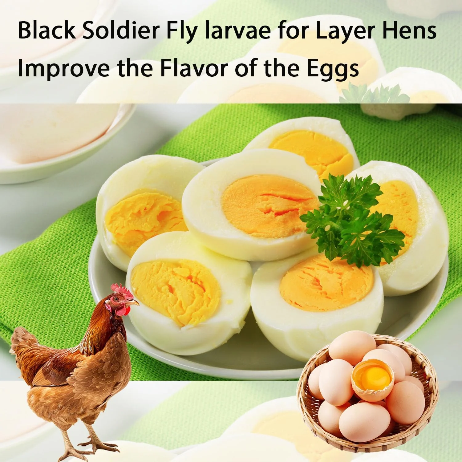 لارو مگس سرباز سیاه خشک شده، 4.5 کیلوگرم، خالص، طبیعی، غیر تراریخته، لارو مگس سرباز سیاه برای مرغ و حیوانات خانگی کوچک