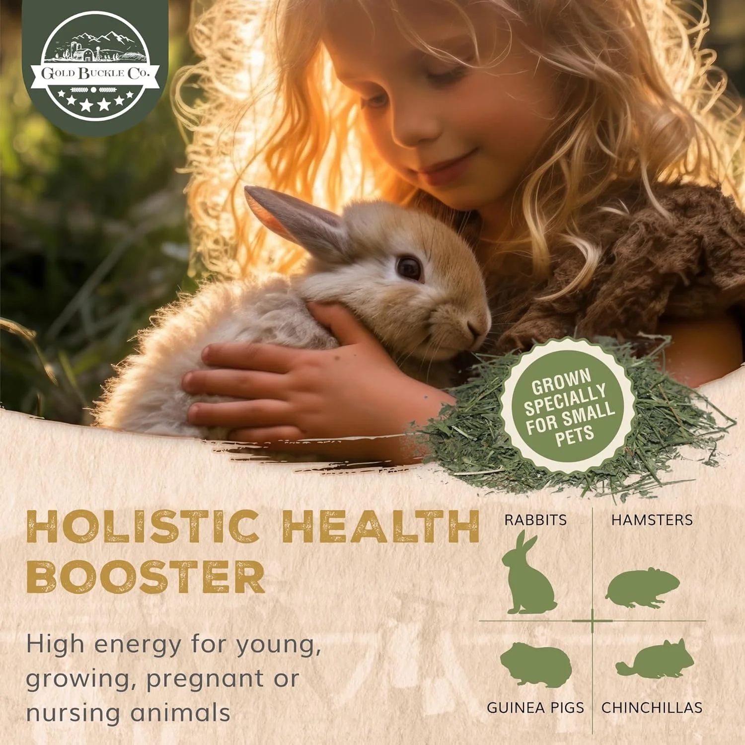 یونجه خشک ارگانیک تازه مزرعه با وزن 4 کیلوگرم، محصول آمریکا، مناسب برای خرگوش، خوکچه هندی، چینچیلا، بز، همستر و راسو - غذای خرگوش غنی از پروتئین و فیبر - خشک شده، دستچین شده