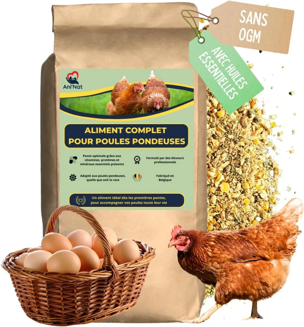 خوراک مرغ تخمگذار بدون GMO - حاوی روغن های ضروری - مخلوط آسیاب شده درشت - تغذیه کامل برای تخمگذاری و شادابی مرغ (5000 گرم)