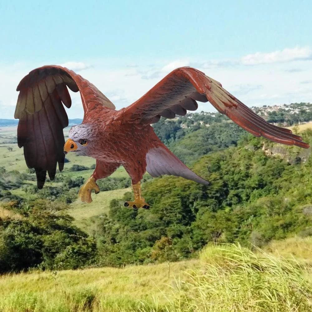 مجسمه اسباب بازی حیوانات، مدل شبیه سازی شده عقاب، تزیینات حیوانات، مجسمه موجودات زنده، اسباب بازی های آموزشی اولیه برای کودکان هدیه (عقاب)