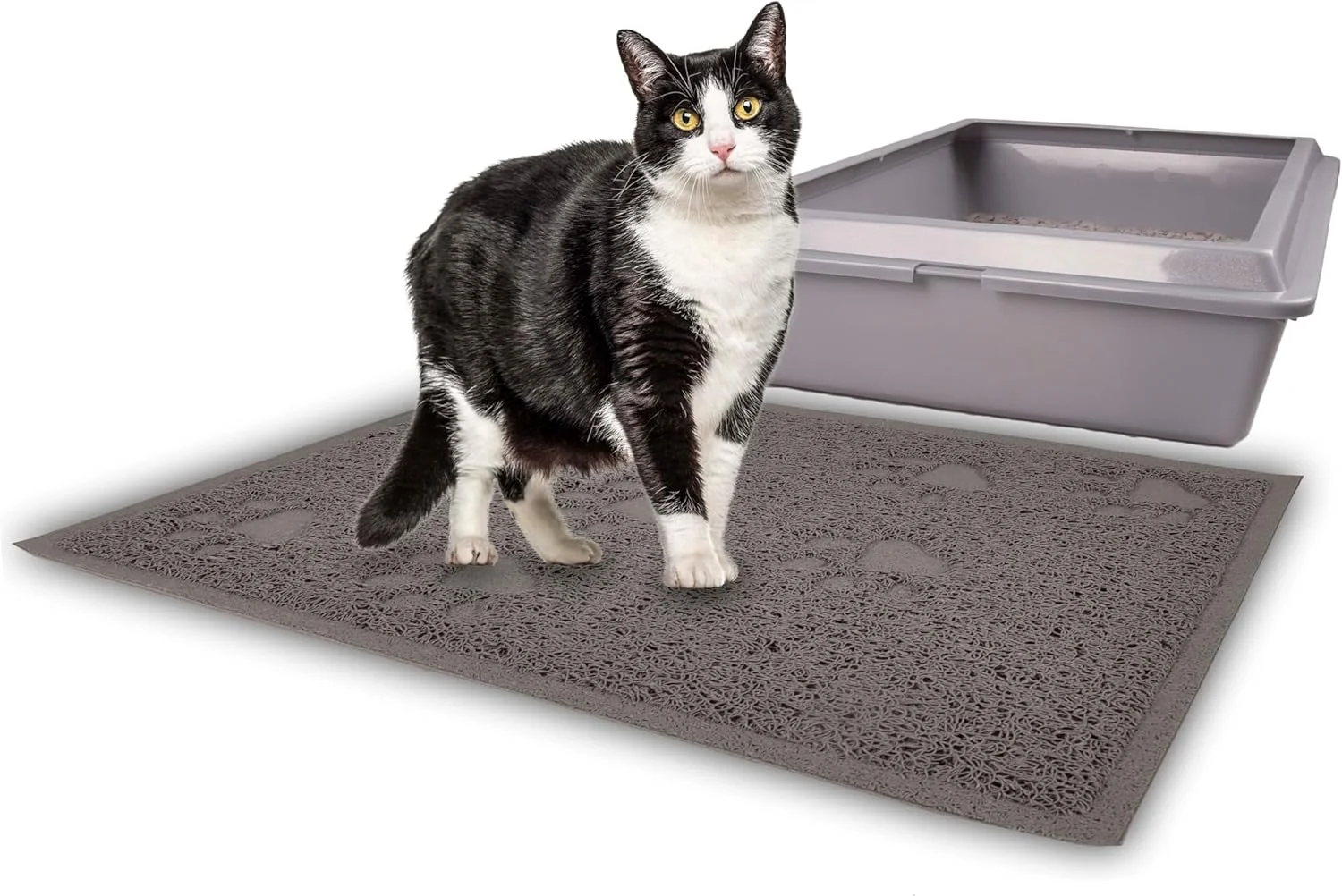 تشک مربعی روغن گربه فلامینگو 560547، 60 در 40 سانتی متر، طرح مورچه