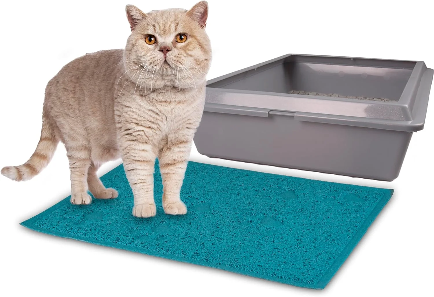 زیرانداز مستطیلی خاک گربه فلامینگو سبز/مشکی 40x30