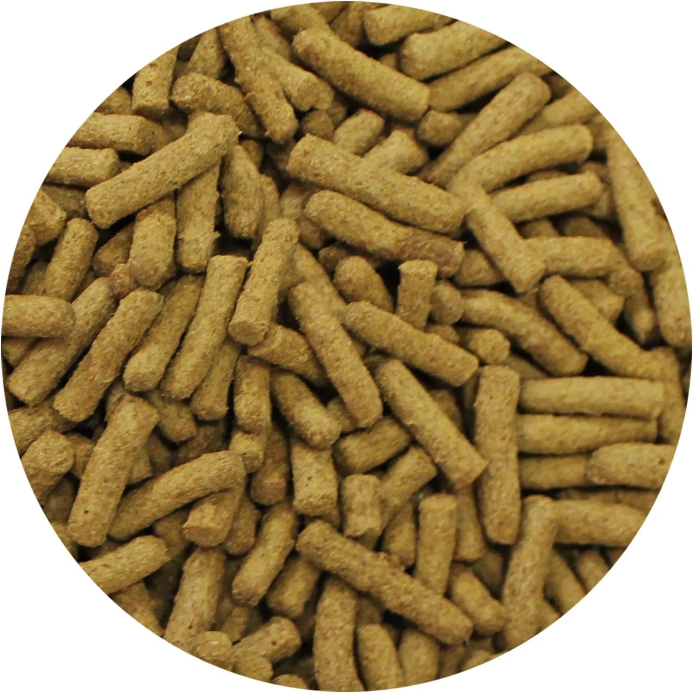 غذای ممتاز حشره خواران اگزوتیک نوتریشن - 567 گرم