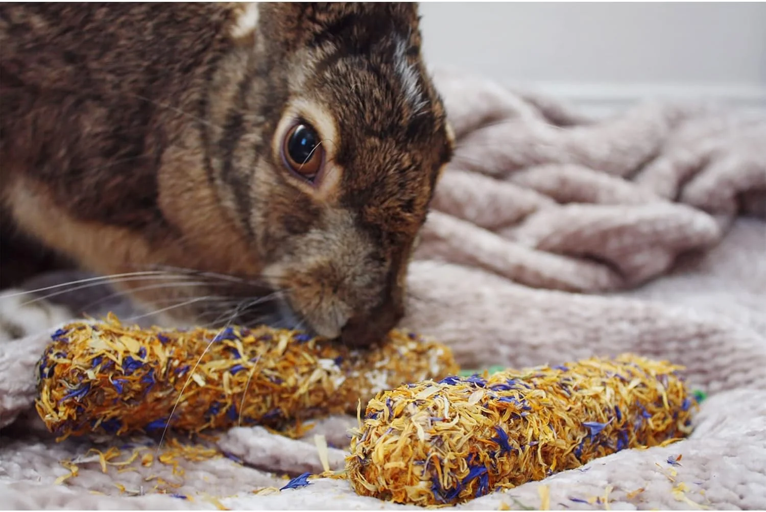 چوب تشویقی تغذیه اگزوتیک با طعم توت فرنگی 100 گرم