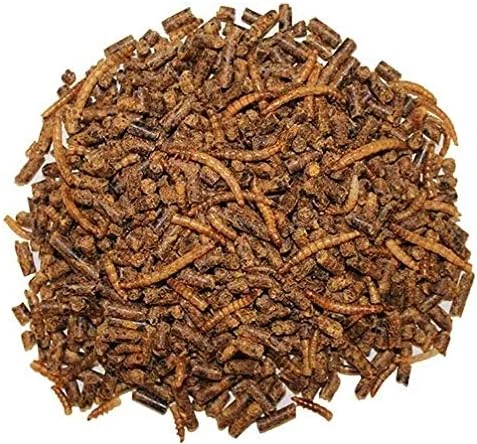 غذای کامل جوجه تیغی اگزوتیک نوتریشن (2.27 کیلوگرم)