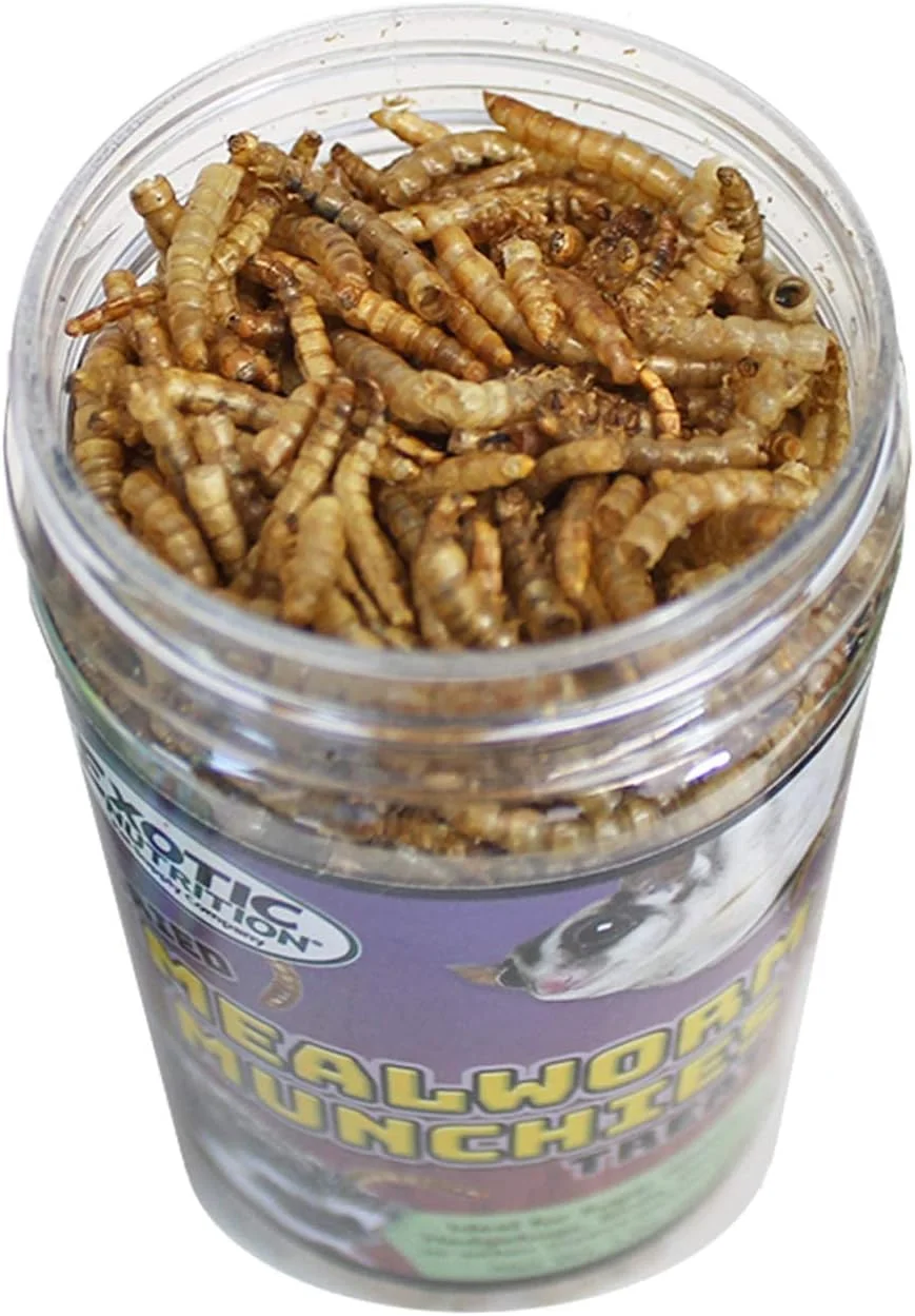 خوراک تشویقی کرم میل ورم اگزوتیک نوتریشن 55 گرم