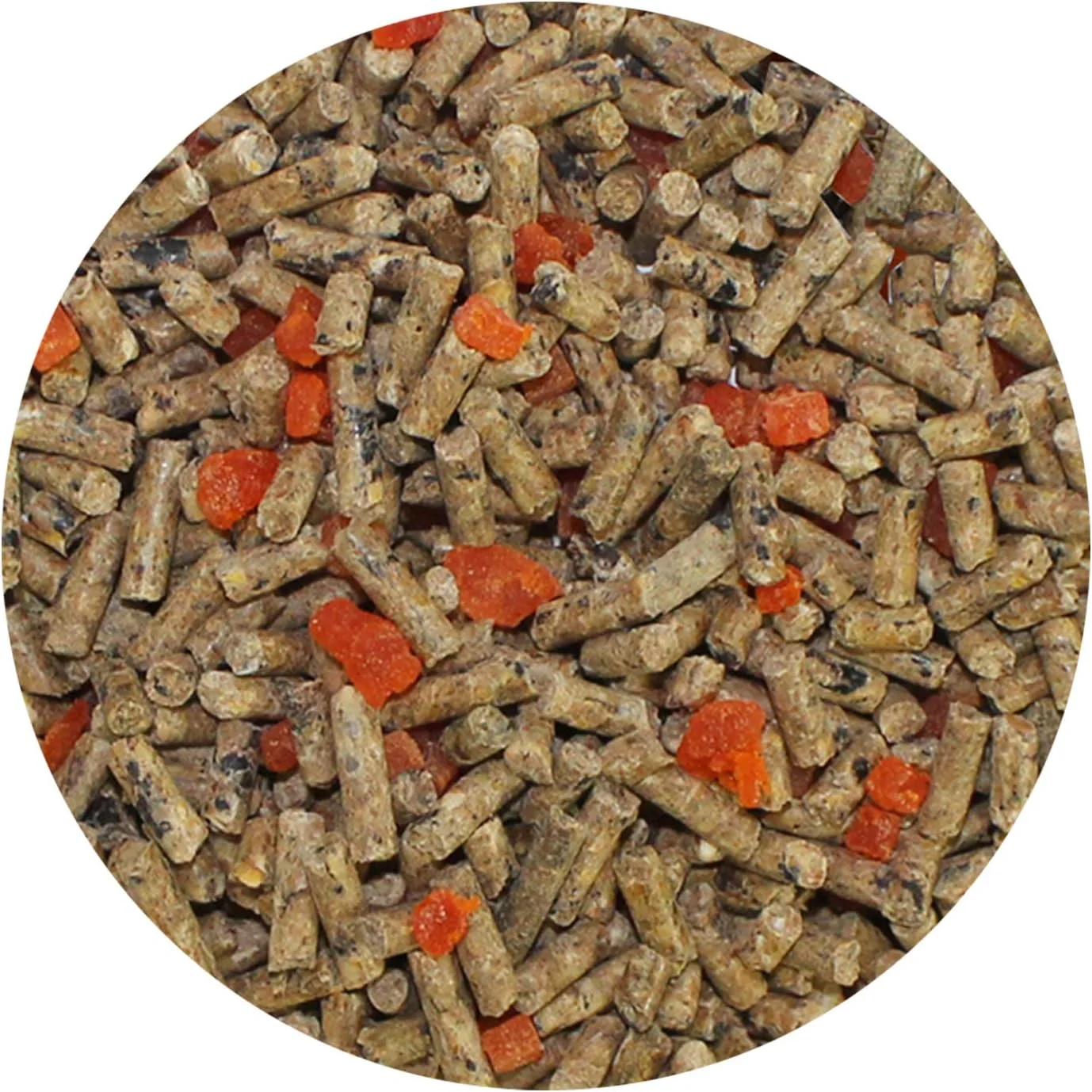 غذای رژیمی سنجابک شکری اگزوتیک نوتریشن با پاپایا و اکالیپتوس 900 گرمی