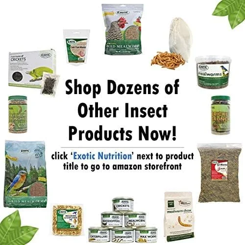 تغذیه اگزوتیک EZ-کرم ها 40 گرم