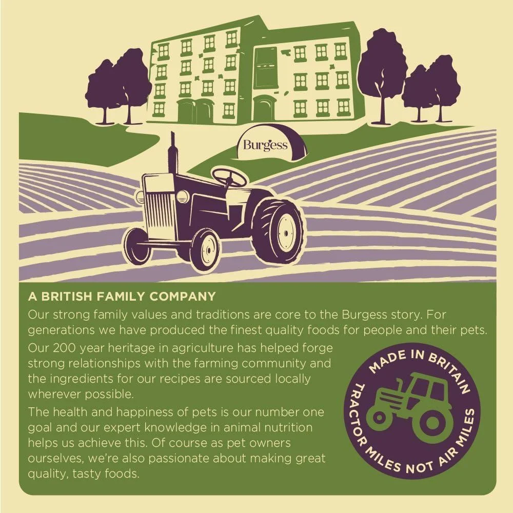 یونجه علوفه ای ساقه بلند اکسل بورگس برای حیوانات خانگی کوچک 1 کیلوگرم