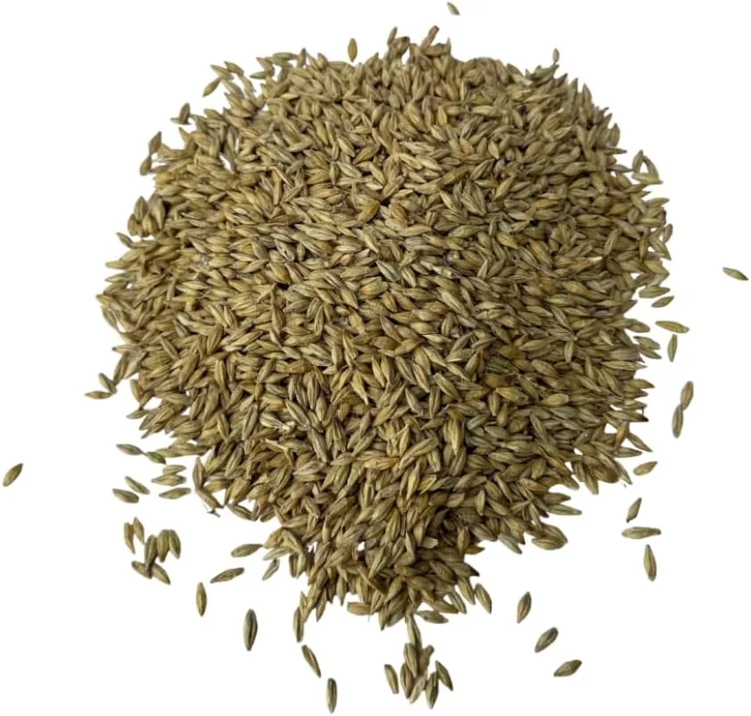 دانه و خوراک جو کامل غیر تراریخته ارنست گرین اند لایواستوک - دانه درجه یک خوراکی برای دام، طیور و حیوانات کوچک - کیسه قابل حمل 4.5 کیلوگرمی - خالص، فرآوری نشده، غنی از مواد مغذی