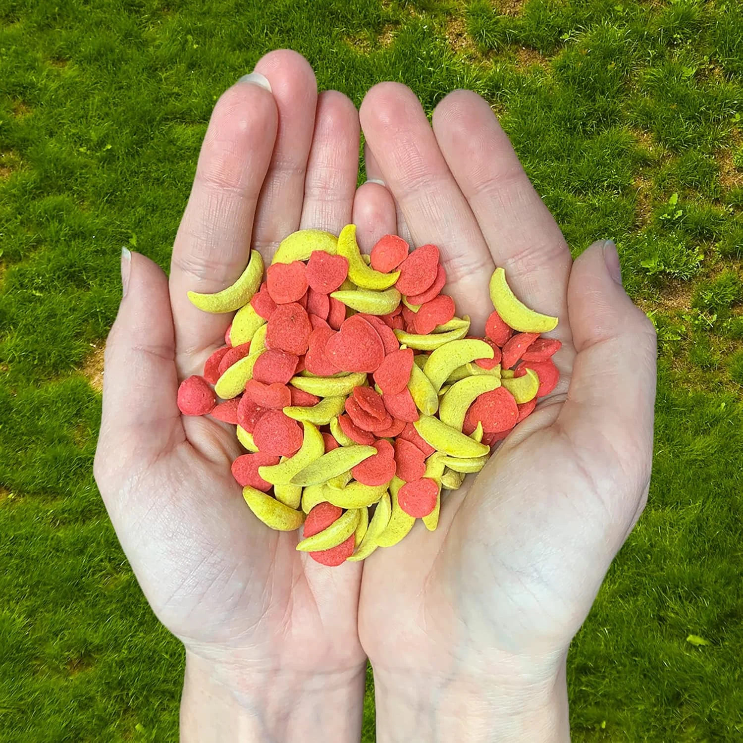 اسنک ترد سیب و موز - خوراکی طعم دار میوه ای ترد - مناسب برای شوگر گلایدر، سنجاب، مارموست، سگ دشتی، همستر، چینچیلا، پرندگان زینتی، خرگوش، خوکچه هندی، دگو و حیوانات خانگی کوچک اسنک ترد سیب و موز - خوراکی طعم دار میوه ای ترد - مناسب برای شوگر گلایدر، سنجاب، مارموست، سگ دشتی، همستر، چینچیلا، پرندگان زینتی، خرگوش، خوکچه هندی، دگو و حیوانات خانگی کوچک